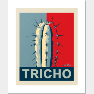 Tricho Trichocereus San Pedro Posters and Art